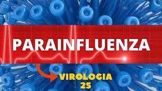 PARAINFLUENZA  VIROLOGIA  AULA 25 [upl. by Adabelle]