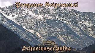 Pongauer Geigenmusi  Schneerosenpolka [upl. by Ainat]