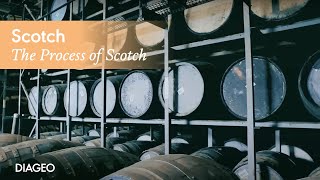 The process behind Scotch Whisky  Diageo [upl. by Mcclenon]