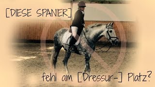 DIESE SPANIER  fehl am DressurPlatz [upl. by Onitsoga]