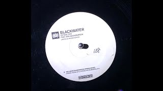 BLACKWATER  OCTAVE ONE feat ANN SAUNDERSON [upl. by Zonnya]