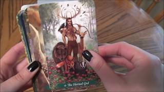 The Green Witch Tarot Quick Flip Through All 78 Cards [upl. by Ahsieat]