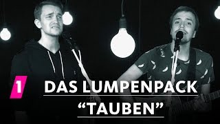 Das Lumpenpack quotTaubenquot  1LIVE Session [upl. by Enilegnave64]