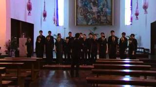 Choir Report Venezia in Musica 2011  Klang Chamber Choir MAL [upl. by Yenruogis133]