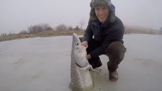 Ice Fishing for HUGE Sturgeon  Catch n Cook Sturgeon Over an Open Fire [upl. by Spearing]