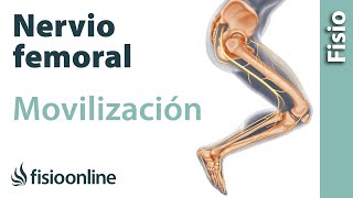 Flexibilización y movilización del nervio femoral [upl. by Virgilia]