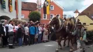 Mittelalterfest Arnstorf 2015 Festzug [upl. by Yntrok]