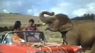 Song Chal Chal Chal Mere Sathee Movie Haathi Mere Saathi 1971 with Sinhala Subtitles [upl. by Mcevoy]