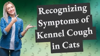 What does kennel cough sound like in cats [upl. by Vanda]