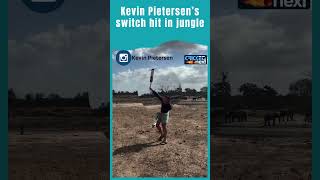 Kevin Pietersen Plays Switch Hit in Jungle Elephants Watch in Background kevinpietersen ytshorts [upl. by Cosimo594]