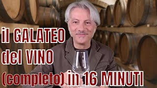 IL GALATEO del VINO COMPLETO in 16 MINUTI [upl. by Nurat633]