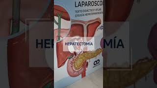 Libro de Gastroenterología y Cirugía general quotEl arte de la cirugía laparoscópicaquot [upl. by Buderus]