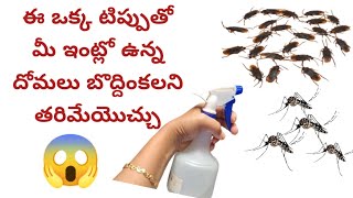 బొద్దింకలు దోమలు పోవడానికి చిట్కాలుtips and trickstipsLasyap200 [upl. by Eelnayr]