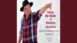 Todo Tempo É Pouco pra Te Amar Ao Vivo [upl. by Novia]