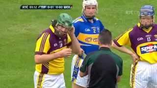 Declan Fanning vs Stephen Banville Helmet Pulling Hurling Fight [upl. by Annahs]