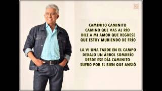 Reynaldo Armas  Lucerito con letra [upl. by Ben997]