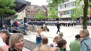 Schützenfest Willich 2024 Musikschau Tambourcorps Sandhasen Neuenhausen [upl. by Atinauq374]