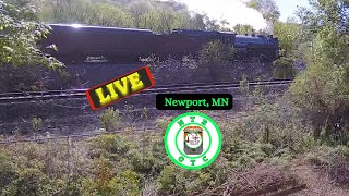 Newport MN Cam LIVE NOW  CPKC River Sub  Northern Transcon Railcams  MP 4025 BNSF MP 4222 [upl. by Llehsram557]