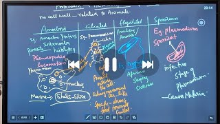 KINGDOM PROTISTA PART 3 BIOLOGIAL CLASSIFICATION  NEET BIOLOGY [upl. by Niwde]