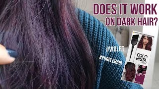 Loreal Colorista Paint Violet on Dark Hair  1 Week Update  TRY OR FRY [upl. by Wickner]