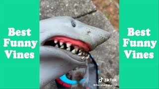 1 Hour Funny Shark Puppet Tik Tok 2023  Best Shark Puppet Tik Tok [upl. by Akirdnahs]