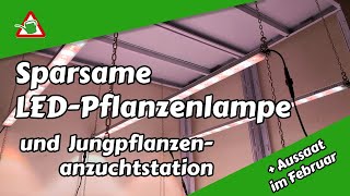 Sparsame LEDPflanzenlampe  Jungpflanzenanzuchtstation  Aussaat im Februar  Selbstversorger [upl. by Angus]