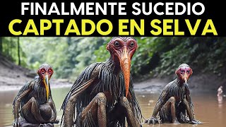 Lo Grabaron En La Selva Amazónica Y NADIE Lo Puede Creer [upl. by Nellir]