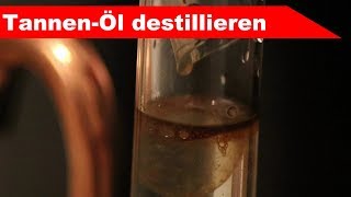 🌷 TannenNadeln destillieren 🌻  ätherisches Öl selber machen  diSTILLed [upl. by Sema]