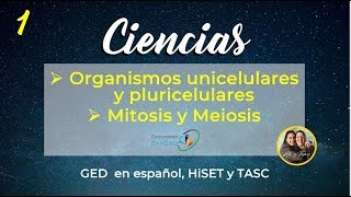 1Ciencias GED en español😍🤔🤓Mitosis y meiosis [upl. by Nivac]