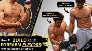 How to Build ALL 8 Forearm Flexors 4 Finger Flexors  4 Wrist Flexors  Big amp Ripped Forearms 💪 [upl. by Siclari]