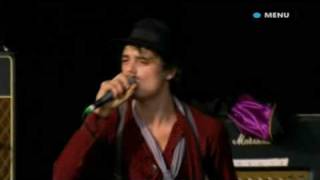 Babyshambles Perform Sedative Live At Glastonbury [upl. by Bricker]