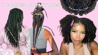 Combing Out My Locs in 24hrs  Length Retention Tips  How Much Hair Came Out [upl. by Pelagia]