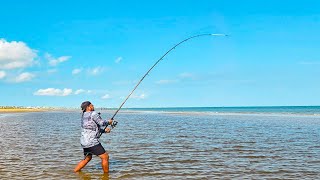 Surf Fishing with Live Crabs Pays off Big Time [upl. by Bondy228]