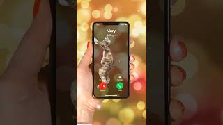 Ringtone 📱📱 ringtone iphone short trending youtube youtubeshorts viral smartphone [upl. by Atterahs]