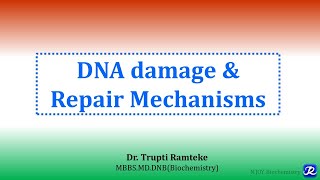 6 DNA damage and repair mechanisms  Molecular Biology Biochemistry  NJOY Biochemistry [upl. by Atsahc515]