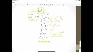 Glycolipids [upl. by Oirelav]