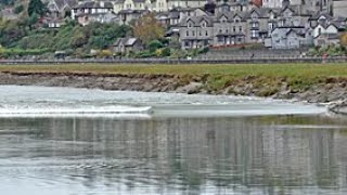 Tidal Bore on the River Kent at GrangeOverSands [upl. by Niwle]