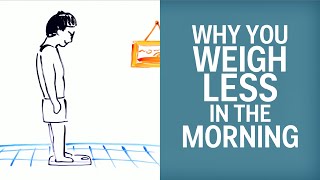 Why You Weigh Less In The Morning Than At Night [upl. by Aleil195]