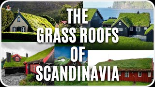 Why are GREEN  GRASS ROOF common in Scandinavia [upl. by Nyledam]