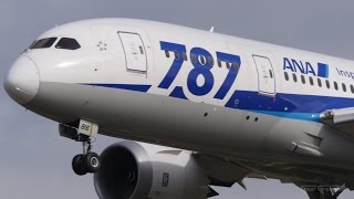 白レドーム 全日空 ANA  Boeing 7878 JA816A  ビジュアルアプローチによる着陸と離陸  福岡空港 [upl. by Lewse]