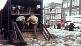 Veemarkt 1969 [upl. by Acire260]