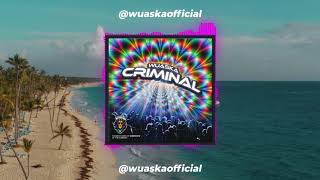 CRIMINAL  Wuaska  Guaracha Aleteo Zapateo Tribalhouse 2020 [upl. by Weeks]