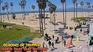 Venice Beach Webcam  Venice Beach Live Cam  venice beach live boardwalk cam [upl. by Canute]