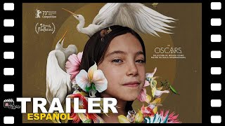 🎬 TOTEM  TRAILER ESPAÑOL  1 Marzo24  CINE [upl. by Ttennaej708]