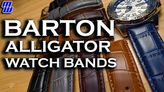 Barton Alligator Watch Bands review Uncle Jimmy Hates My Face and I Sing a Song [upl. by Ellicec]