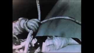 Aleksei Leonovs First Spacewalk [upl. by Demetre228]