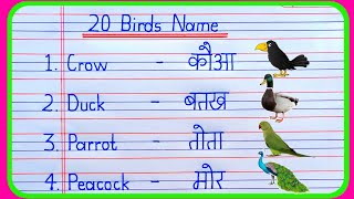 20 birds name in hindi and english  birds name  pakshiyon ke naam  पक्षियों के नाम [upl. by Nels]