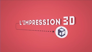 Comment fonctionne l’impression 3D [upl. by Anem839]