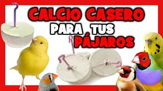 COMO HACER BLOQUES DE CALCIO CASEROS para CANARIOS y PAJAROS EXOTICOS 🐤 [upl. by Courtenay404]