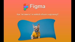 Figma How to Add a Picture to a Project and Use Effects [upl. by Asilla]